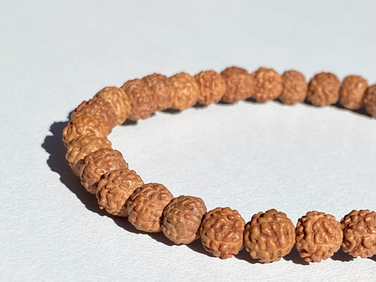 Pulsera Semilla de Rudraksha
