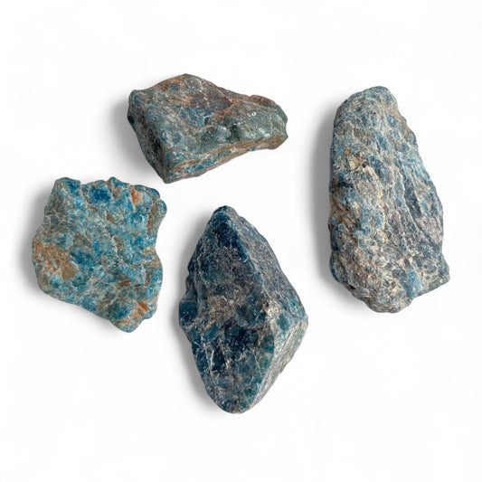 Apatito Masivo | CREATIVIDAD - INSPIRACIÓN