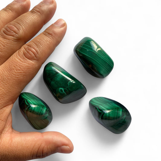 Rodado de Malaquita | TRANSFORMACIÓN - PROTECCIÓN